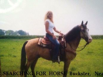 SEARCHING FOR HORSE Buckster,  Near Canyon , TX, 79015